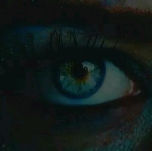 Meet your Posher, Ronnie